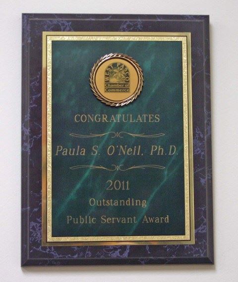 2011 Outstanding Public Servant Award