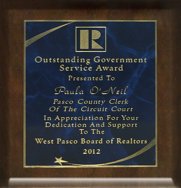 2012 Outstanding Government Award by West Pasco Board of Realtors