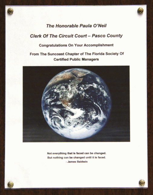 Suncoast Chapter of the Florida Society of Certified Public Managers Award