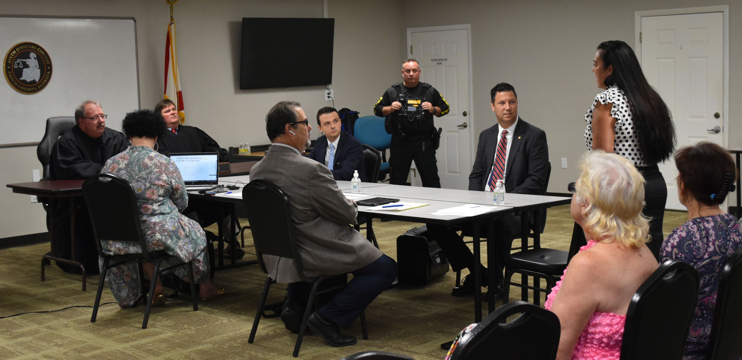 Vet speaking to Judges